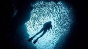 Cave diving in Egypt's Red Sea: A guide