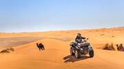 A guide to dune biking in the Kalahari Desert