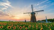 Portugal's most photogenic windmills: A list 