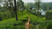 How to plan a sustainable vacation like a pro