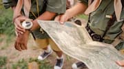 How orienteering helps you stay fit and sharp