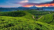 Cycling through Rwanda's tea plantations: A guide