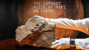 Largest Martian rock on Earth auctioned for over $5M