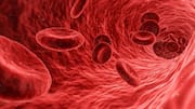 This Indian woman has a blood group never seen before