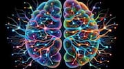 Genetics influence cognitive function in humans, says study