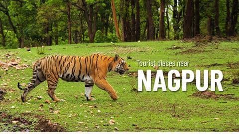Top 5 tourist places near Nagpur Top 5 tourist places near Nagpur
