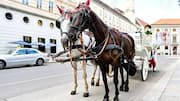 Attending an Austrian wedding? Their carriage traditions will stun you