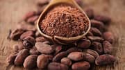 Why you should add cocoa beans to your diet