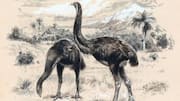 This company is making artificial eggs to resurrect extinct birds