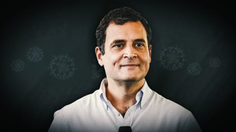 Congress leader Rahul Gandhi tests positive for COVID-19 Congress leader Rahul Gandhi tests positive for COVID-19