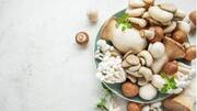 5 mushroom varieties every vegetarian should try 