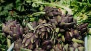 The health benefits of eating artichokes