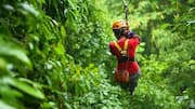 Nature lovers, you must try treetop canopy tours 
