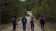Hiking or swimming: Which is better for a full-body workout?