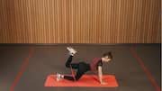 What are quadruped exercises