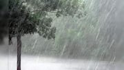 Monsoon reaches Bihar, UP; heavy rainfall likely in eastern India