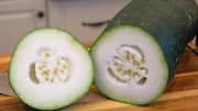 Winter melon: History and cultural significance