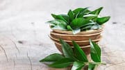 How to use curry leaves for better flavor