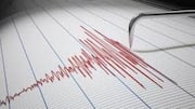 4.5 magnitude earthquake strikes Andaman Sea, tremors felt in region