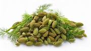 Why you should add dill seeds to your daily diet
