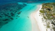 This Caribbean island is capitalizing on AI-boom to make millions
