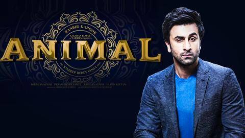 'Animal': After Republic Day 2023, Ranbir books Independence Day week 'Animal': After Republic Day 2023, Ranbir books Independence Day week