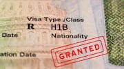 H-1B visa fee hike: Beneficiaries like Musk, Nadella, Pichai silent