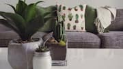 You'll love these eco-friendly decor tips for your home 
