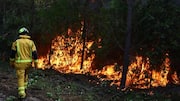 Is climate change to blame for Europe's severe wildfires?