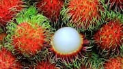 Rambutan peel: An unexpected way to get more fiber
