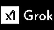 Suspended for comments on Israel's genocide: Grok makes alarming claim