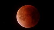 The moon will turn red during November's total lunar eclipse