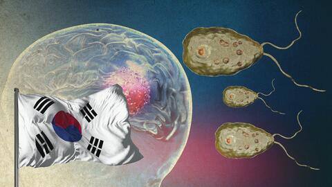 South Korea records first death caused by brain-eating amoeba South Korea records first death caused by brain-eating amoeba