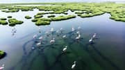 Birdwatching lovers, Zambia's wetlands are a must-visit