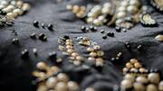 The fascinating story behind zardozi embroidery