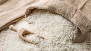 El Niño's impact could be cushioned by rice reserves