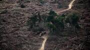Will Earth lose its ability to support life?