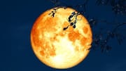 Buck Moon to grace skies next week: How to watch
