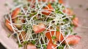 Sesame sprouts: A superfood you must add to your meals