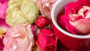 Grow stunning roses with these basic tips