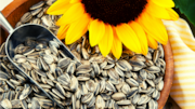 Why sunflower seeds are the ultimate superfood
