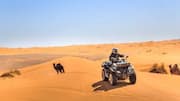 Explore the Sahara like never before on a quad bike 