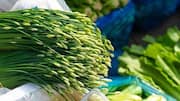 How to grow chives at home