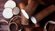 Manioc: A root vegetable you should try 