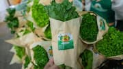 Keep herbs fresh with these easy storage tips
