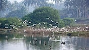 The many amazing benefits of bird-watching hikes