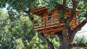 Africa's most amazing treehouse stays: A list