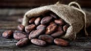 Why your skincare routine needs cocoa beans