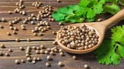 Cumin + coriander: The ultimate flavor duo