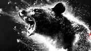 'Cocaine Bear': Everything to know about the absurdist horror-comedy movie